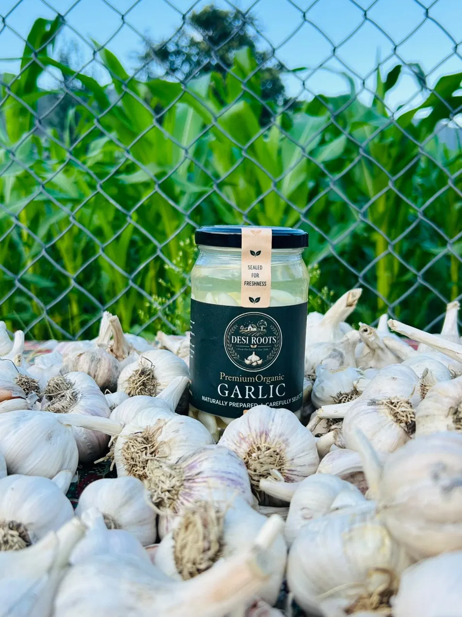 Single Jar