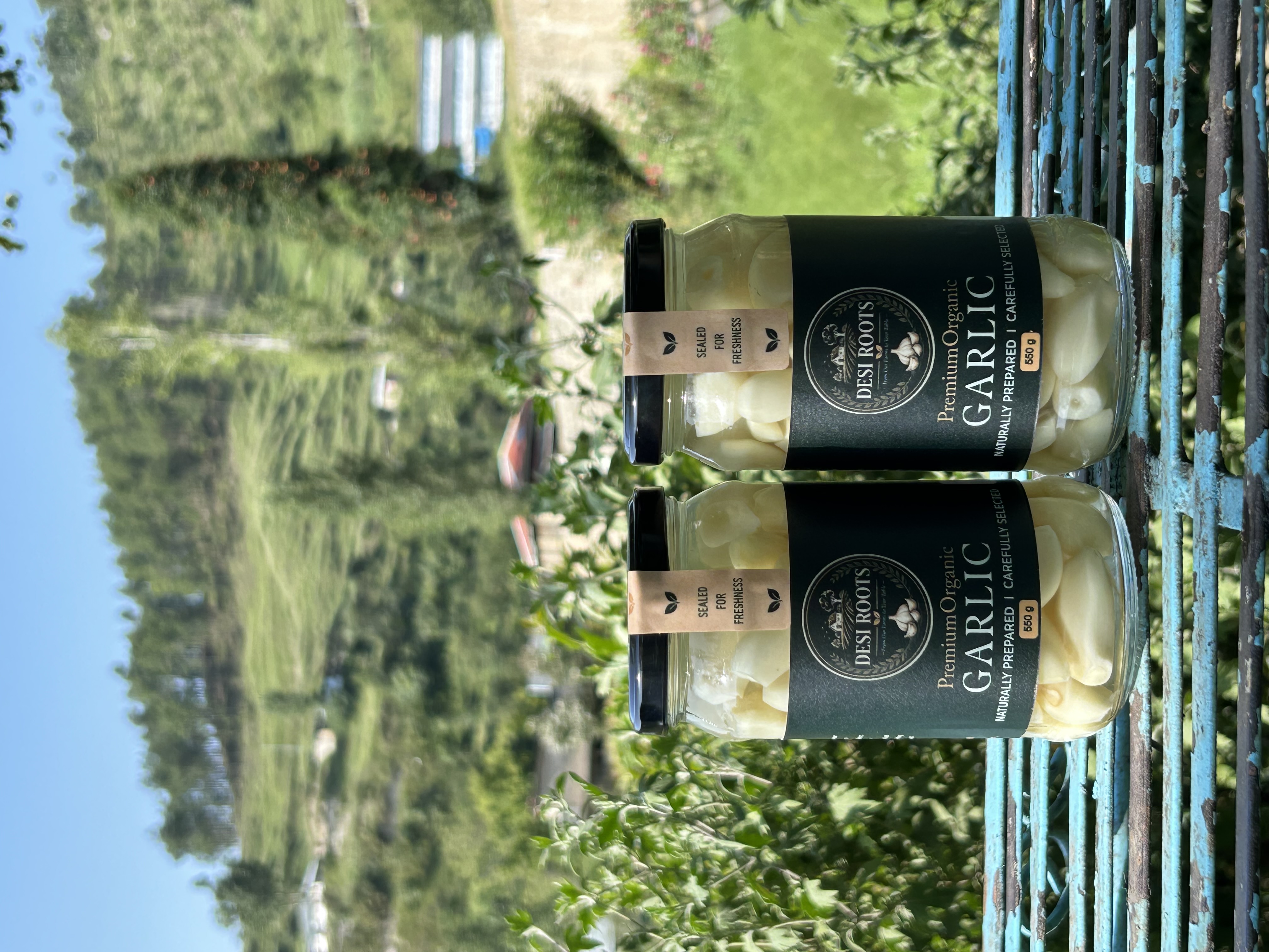 Pack of 2