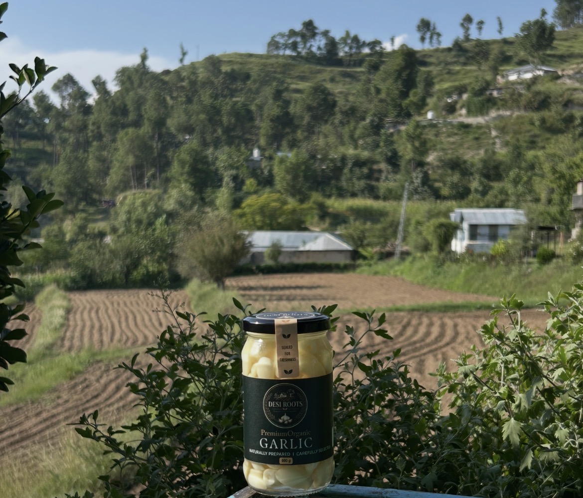Garlic jar in the field